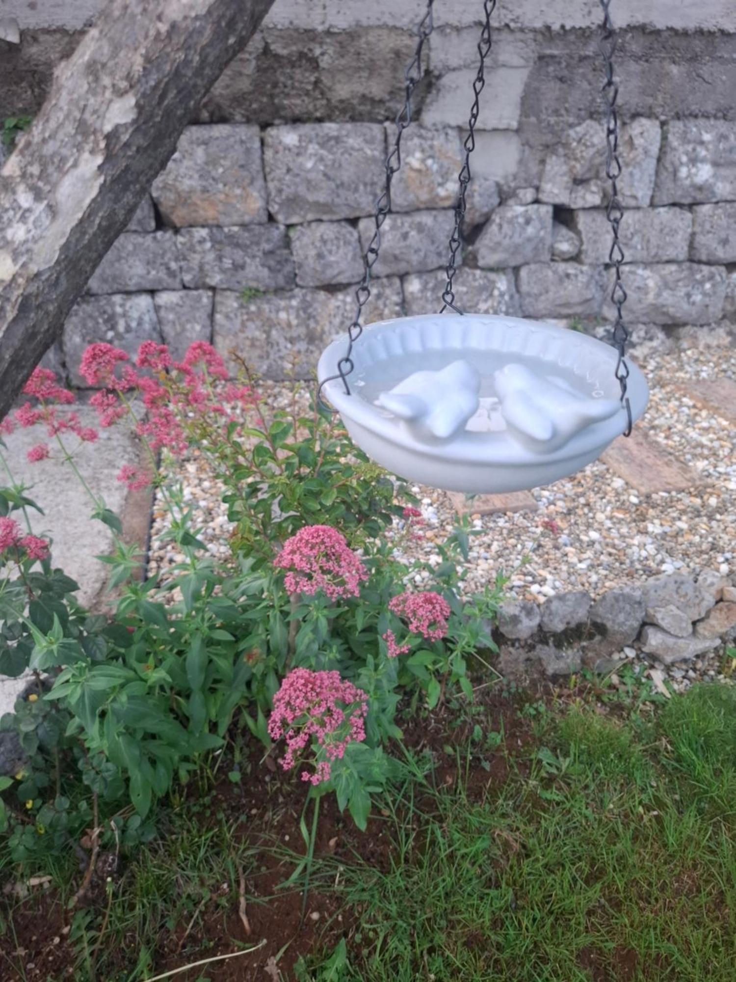 Apartman Envi Abbázia Kültér fotó